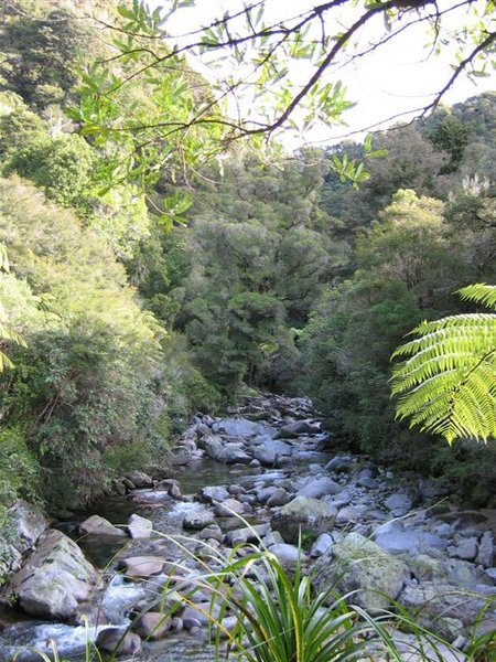 Walking in Abel Tasman NP, near Wainui Falls