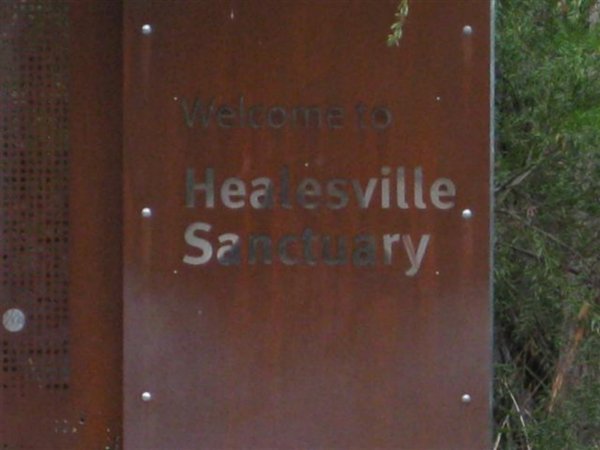 healesville sanctuary