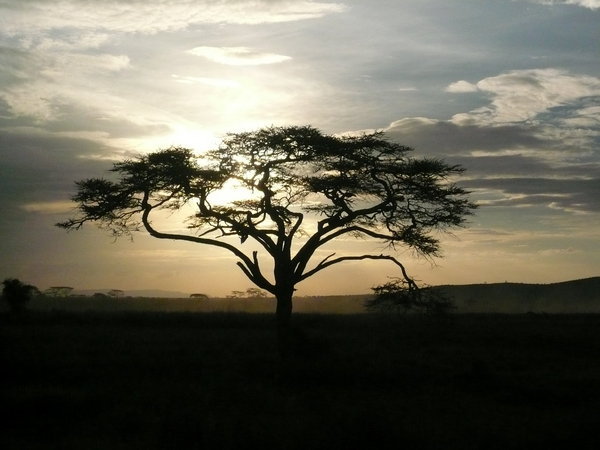 Sunset on the Serengeti