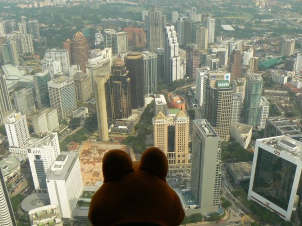 View from KL Tower 2