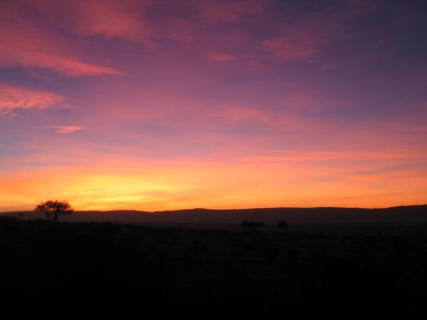 Sunrise in Masai Mara