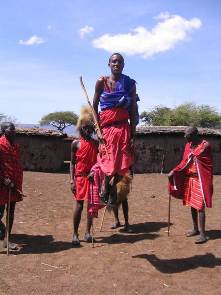 Masai Jumping Contest