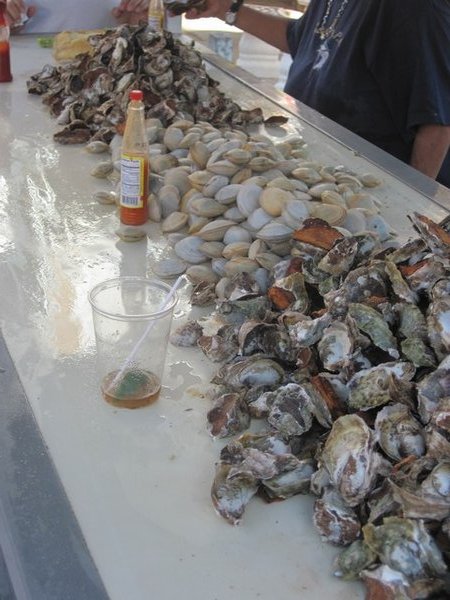 Fresh Shucked Oysters