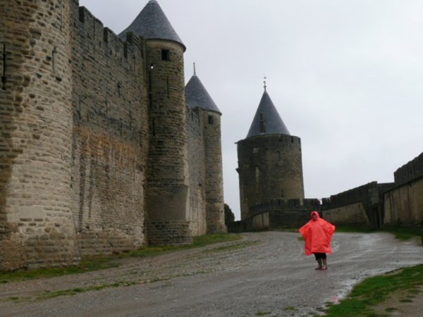 Carcassonne3