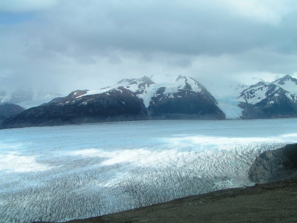 Gletsjer Grey