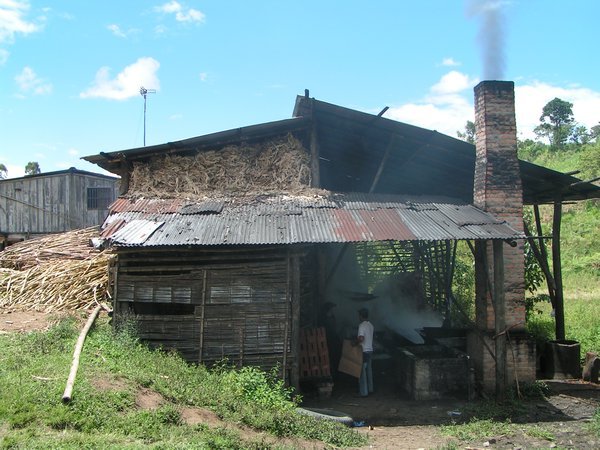Suikerriet-fabriek