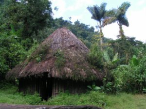 Traditionele hut