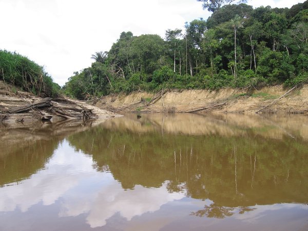Amazone zijrivier