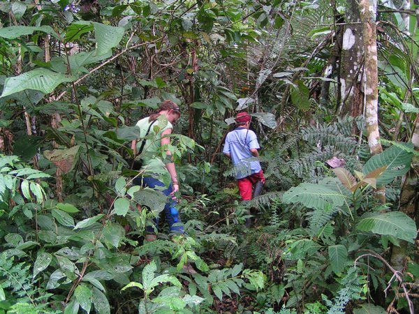 Gill & gids in de jungle