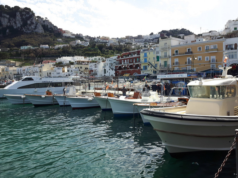 Capri harbour