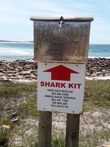 Shark kit?