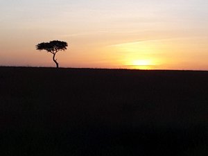 Dawn on the Maasi Mara