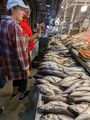 Santiago fish market
