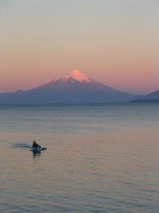 Volcan Osorno sunset with kayak