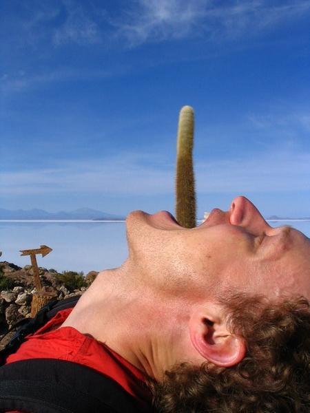 Cactus tounge