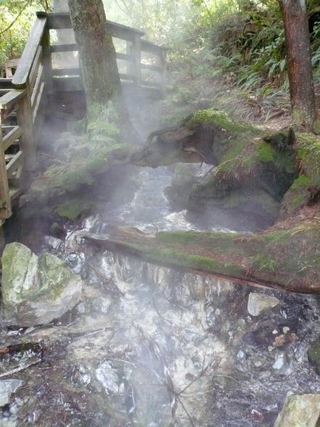 Hot Springs Stream
