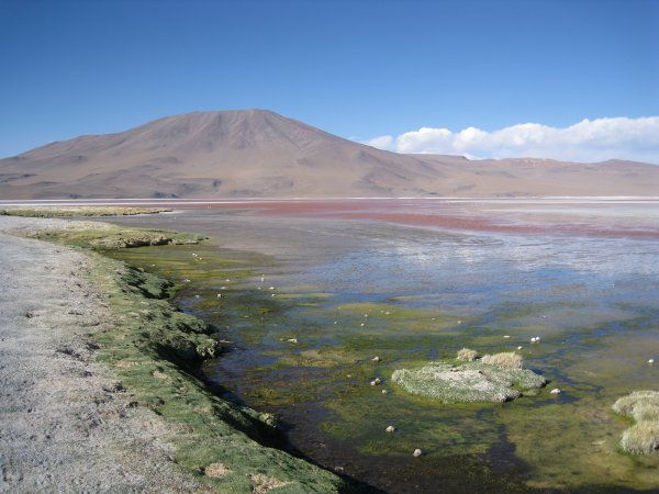 Laguna Colorada 