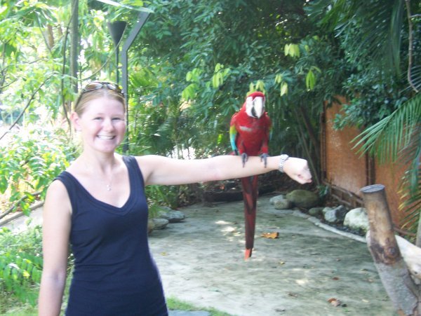 Cass Holding a Macaw