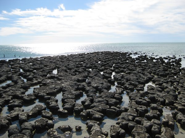 Stromatalites