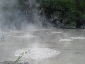 Boiling Mud Pool