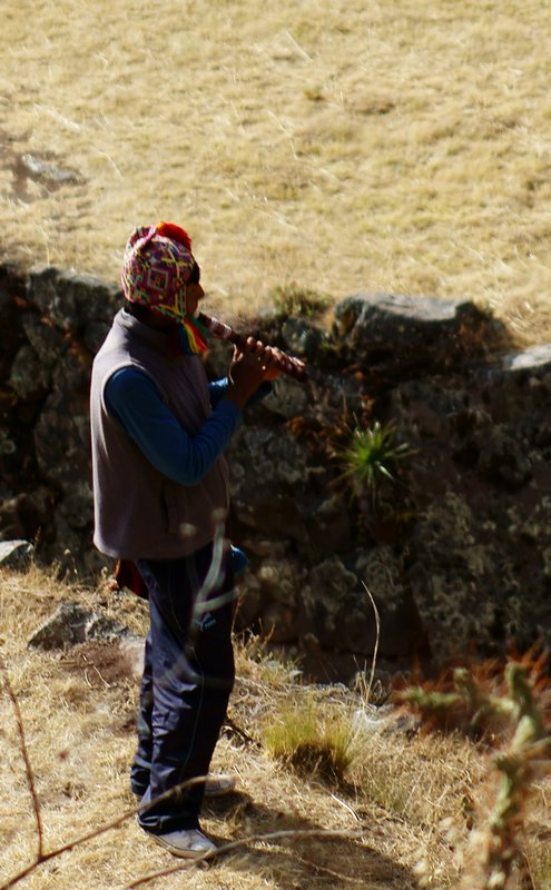 Mountain Musician