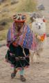 Traditional Quechua Lady with Alpaca