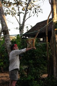The Monkey's Would Randomly Jump on People....