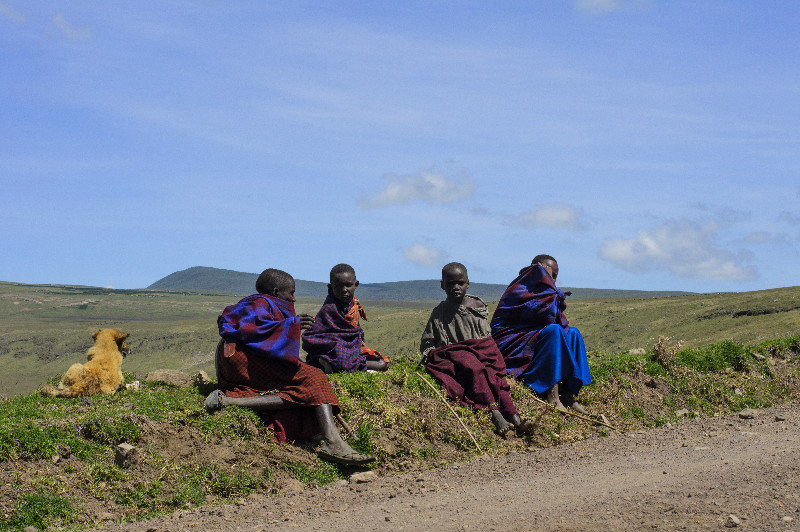 Maasai Children Watching the Cattle Herd