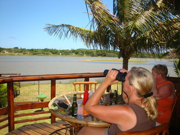 watching hippo and crocodile from the safety of the bar