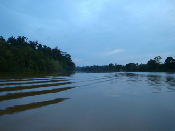 The Kinabatangan River