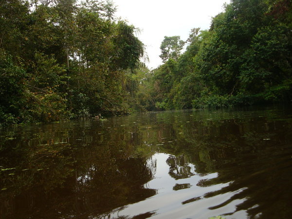 The Black Water River