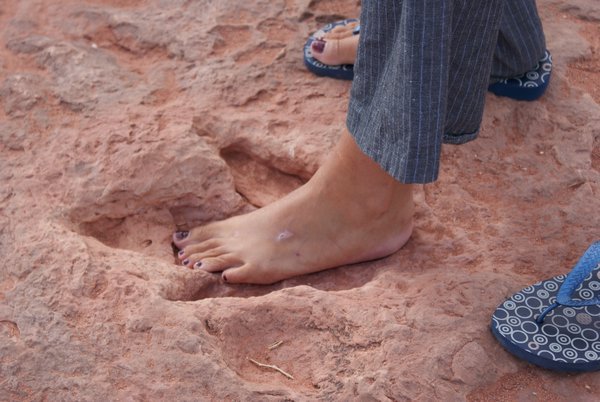 Lynn's foot  in a Utah raptor's step
