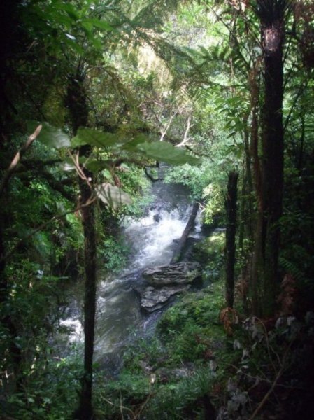Waterfall in Waitomo