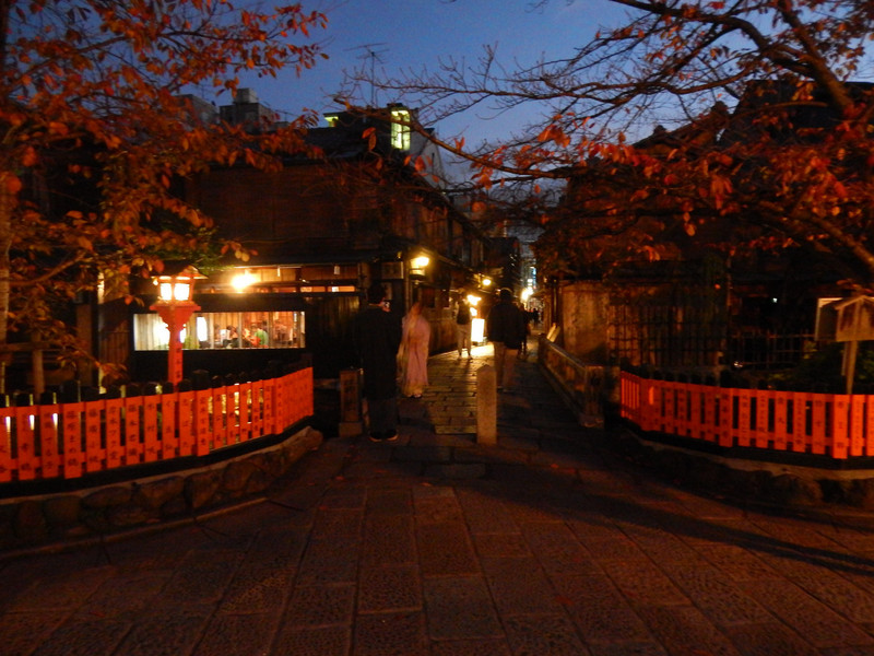 The Gion district