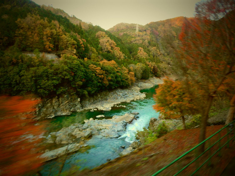 View from the Sagano scenic railway