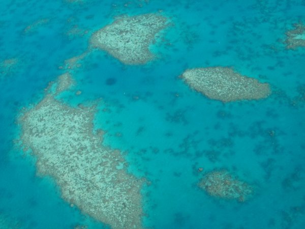 Great Barrier reef