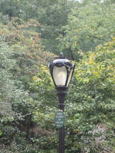 A Light in the Park