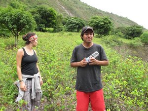 Jimmy explaining the coca plants