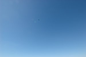 Skydiving 023