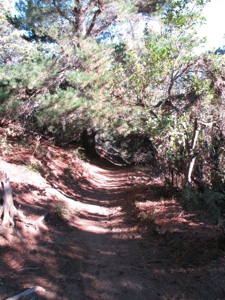 The trail