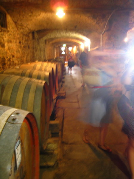 Barossa Wine Tour