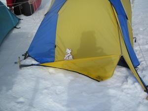 My tent and Berkley