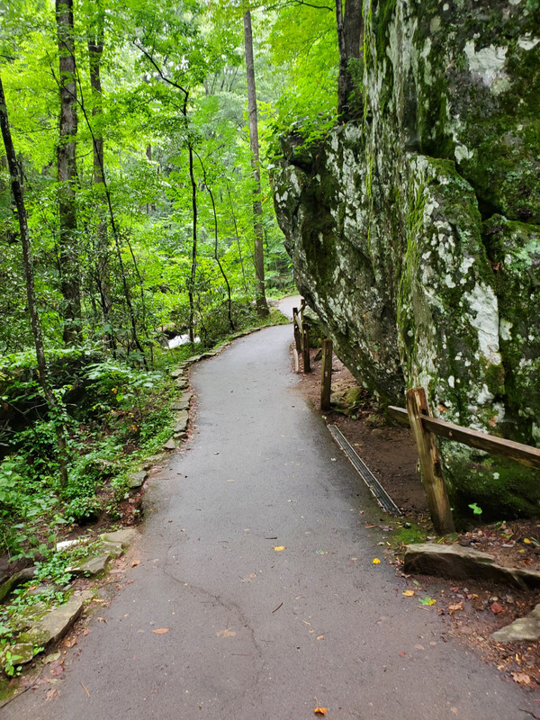Path to the falls