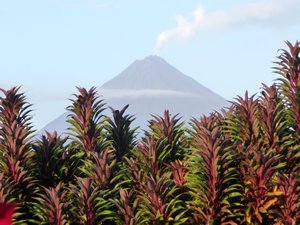 Arenal Volcano from Hotel