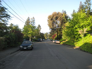 Our street in Mill Valley