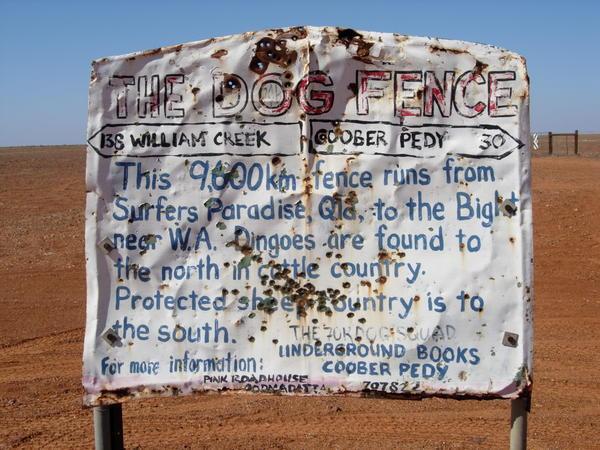 Dog Fence...
