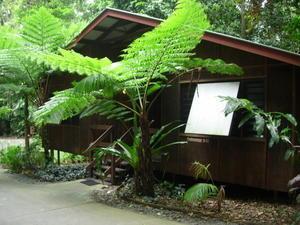 My home in the rainforest...