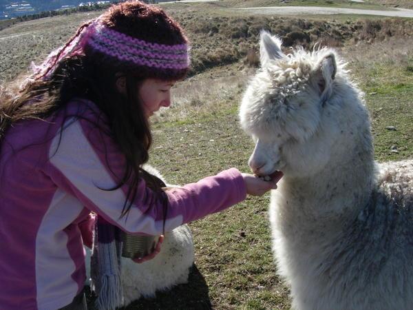 Lucy and the Llama...