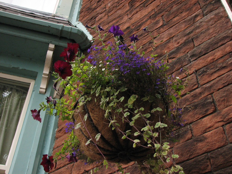 Beautiful flower basket