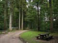 Grizedale forest cycling trail